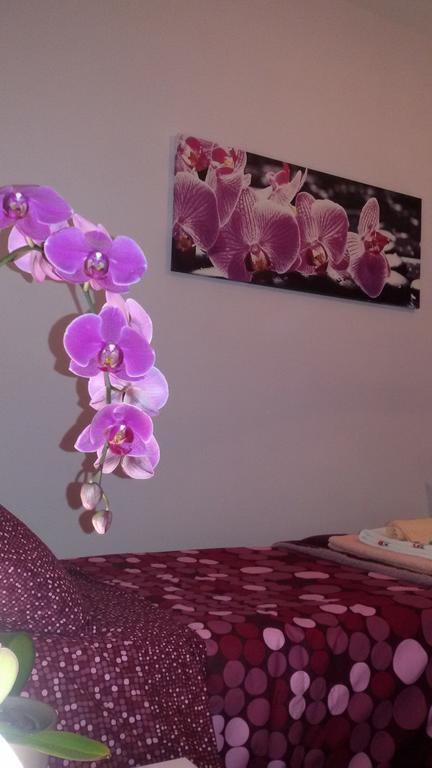 B&B Interno 8 Roma Phòng bức ảnh